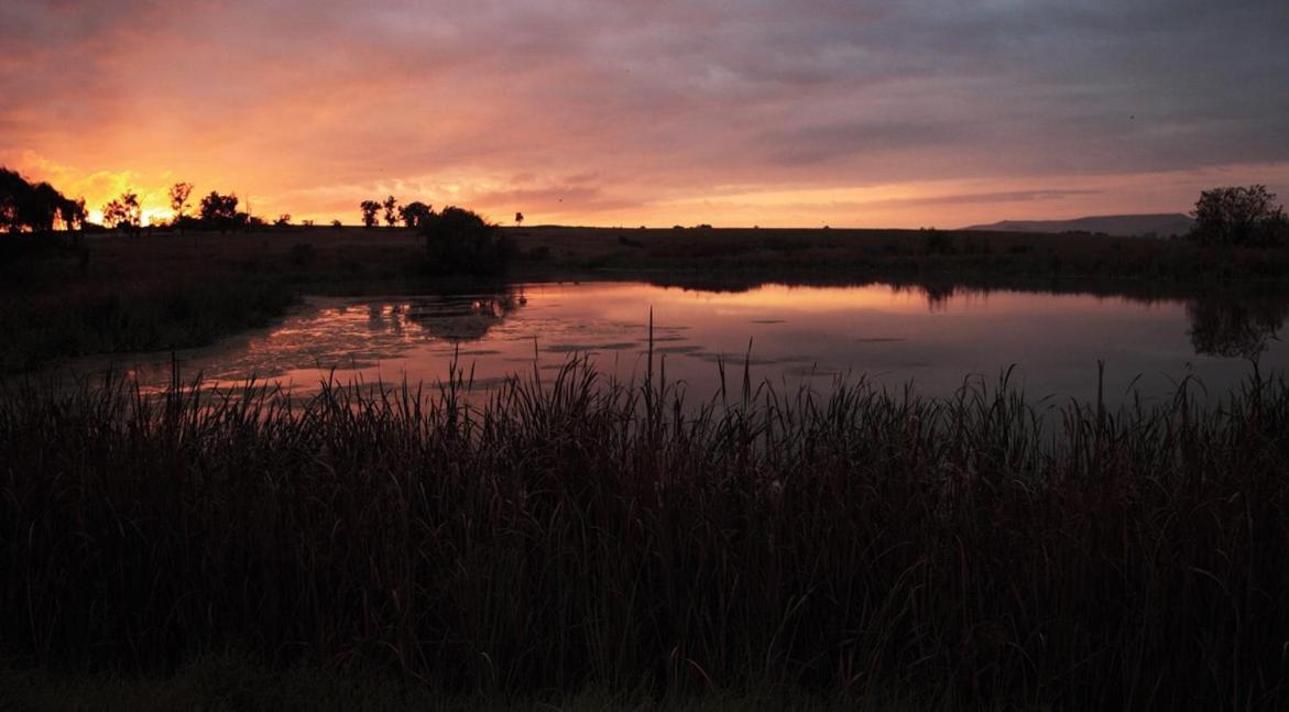 Sandford Park Country Hotel بيرغفيل المظهر الخارجي الصورة